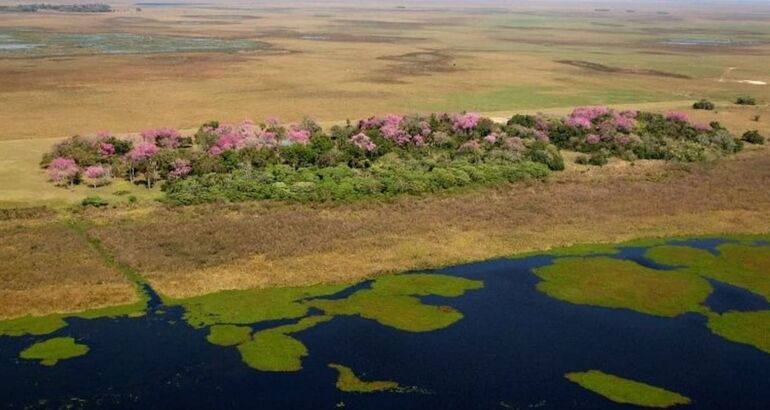 El destino de astroturismo en Argentina Parque del Iber reabre tras los incendios