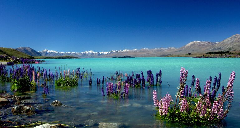 Estrellas en el lago Tekapo de Nueva Zelanda