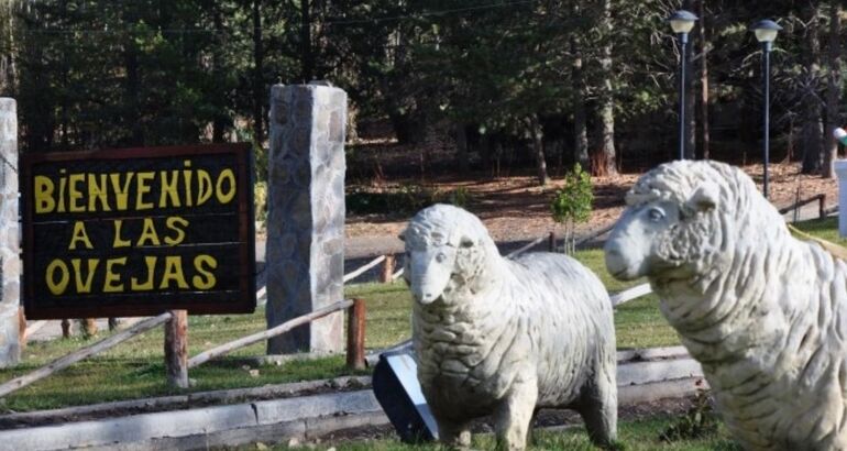 Las Ovejas miran al cielo de Neuquen