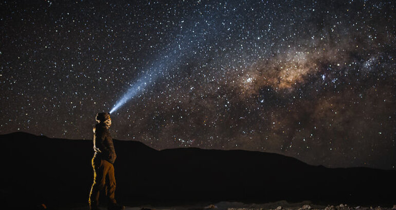 Pica la flor en la arena de Chile crece mirando a las estrellas