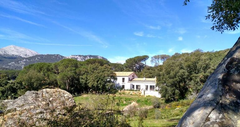 Turismo de estrellas en el Tambor del Llano el corazn de Grazalema  