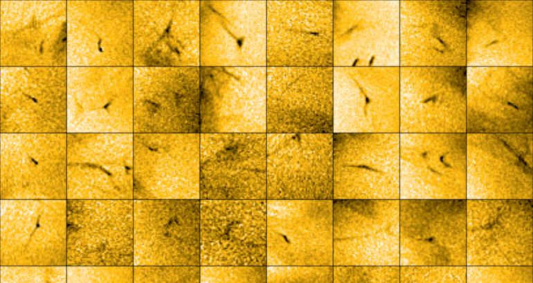 Solar Orbiter descubre lo que podra alimentar al viento solar 