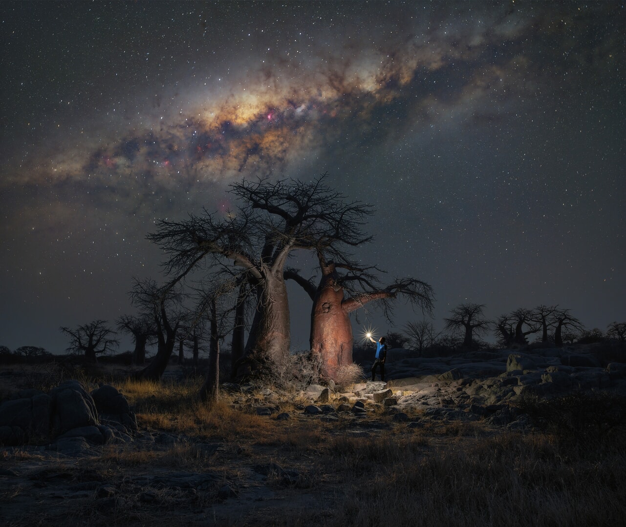 Milky Way Photographer of the year 2026