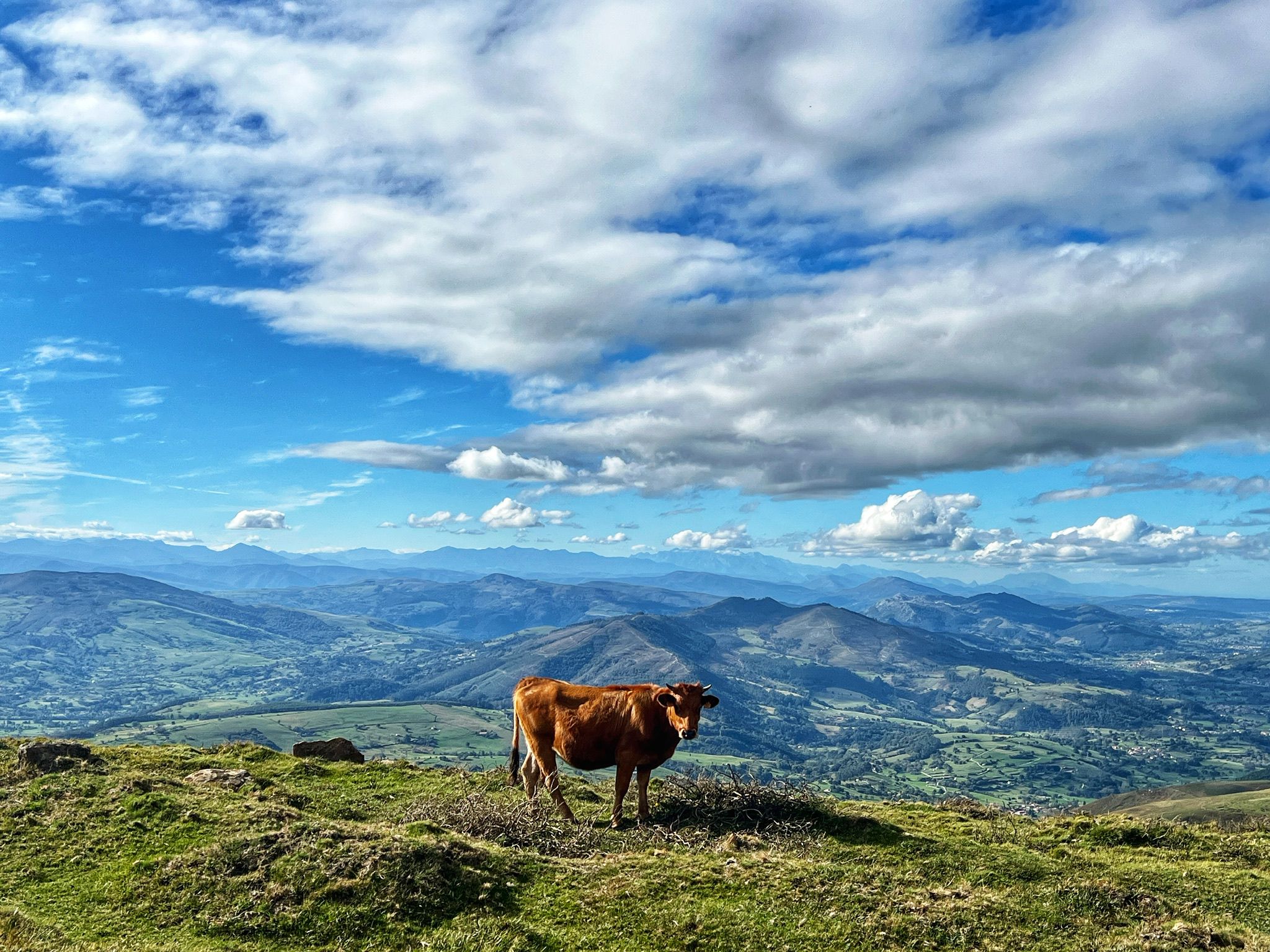 miera cantabria