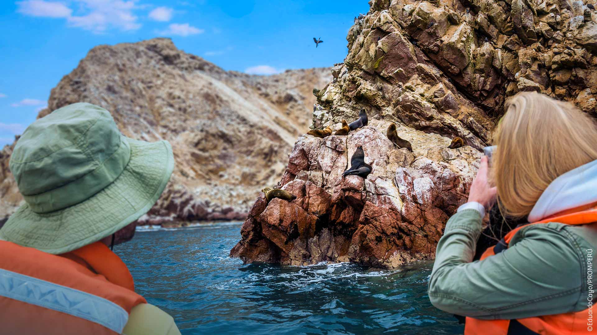 isla paracas perú