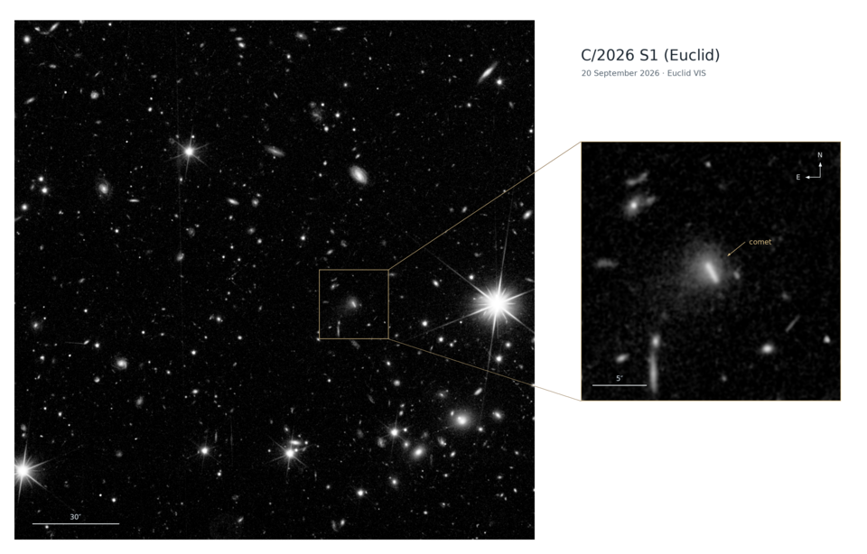 euclid cometa