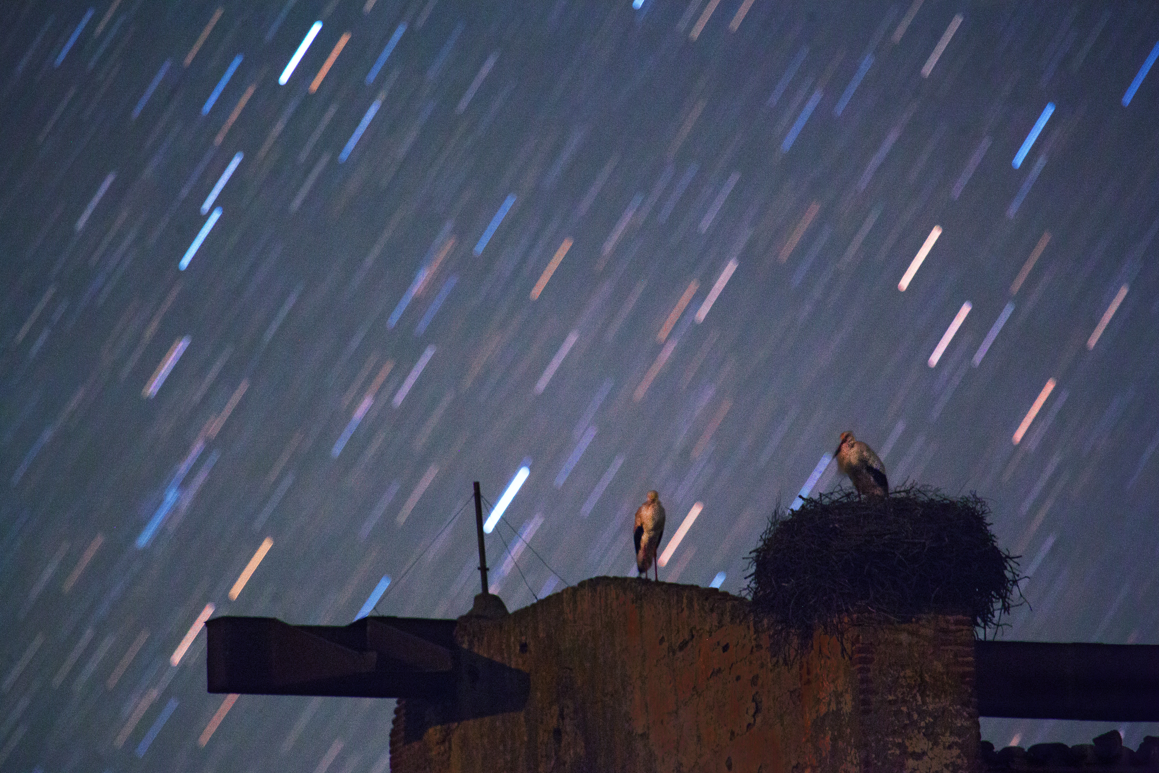  Perseidas Extremadura