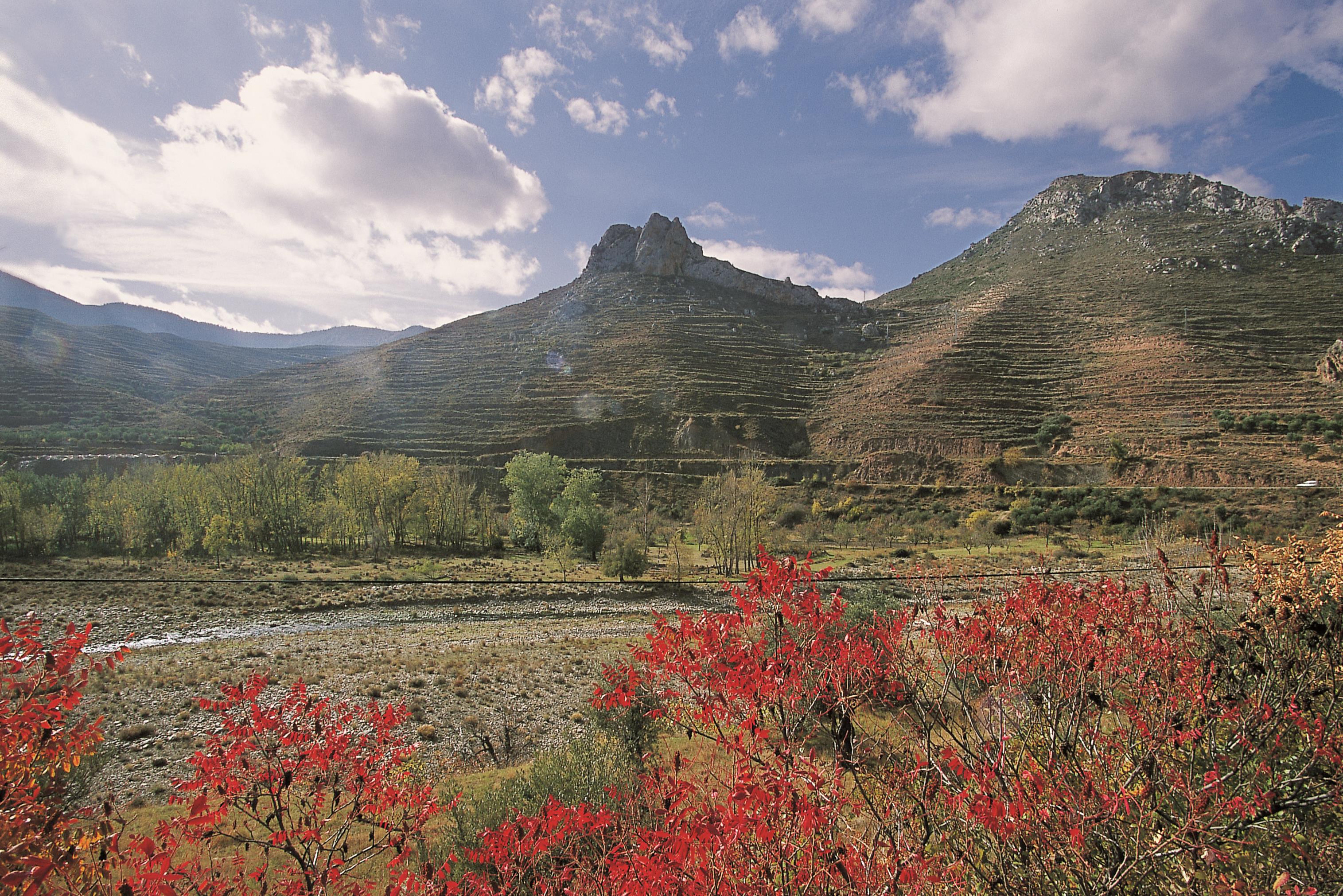 Reserva de la biosfera Leza Jubera