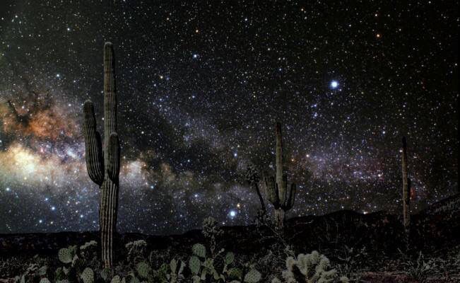 Desierto de Sonora de noche