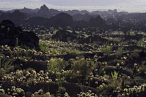 Reserva de la biosfera El Pinacate y el Gran Desierto de Altar