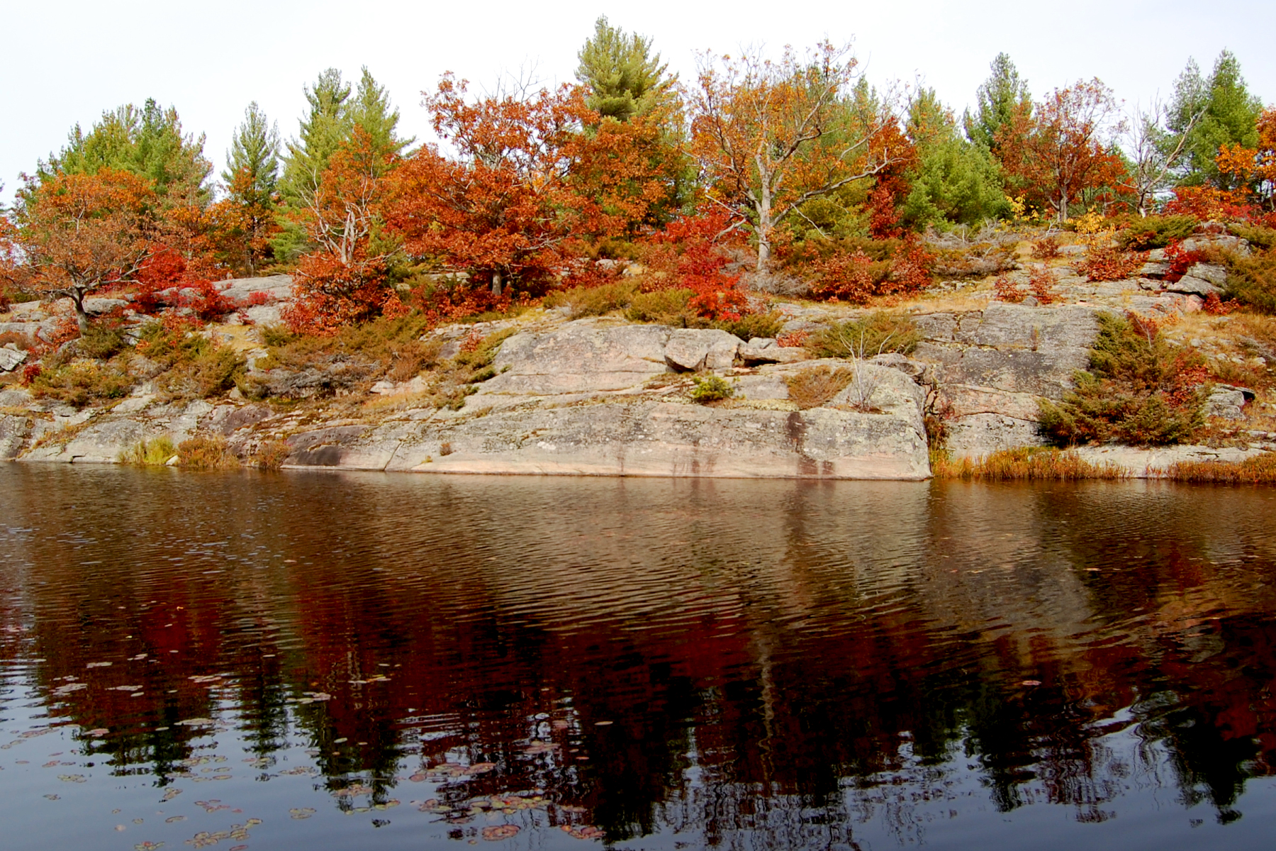 Torrance Barrens