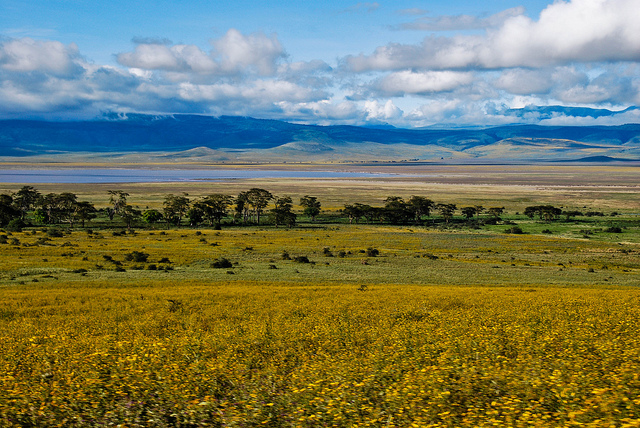 Cráter Ngorongoro
