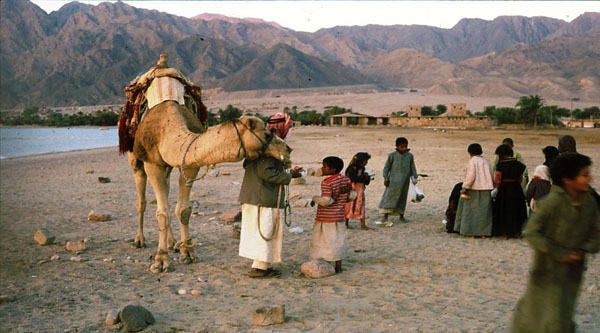 Beduinos en el desierto de Sinaí