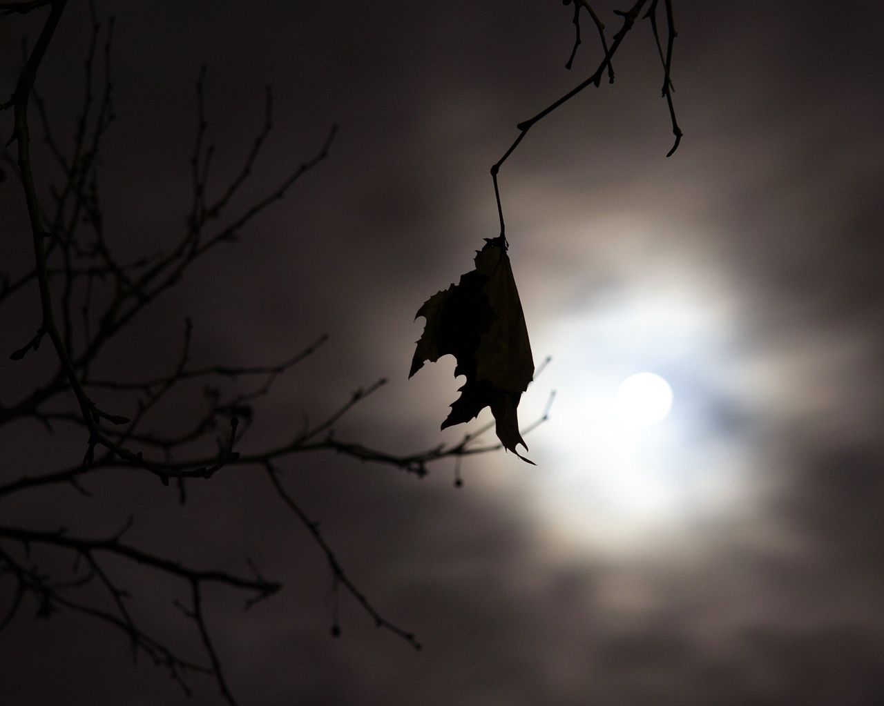 Luna llena en otoño