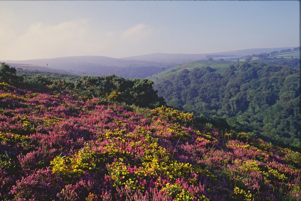 Reserva Exmoor Dark Sky