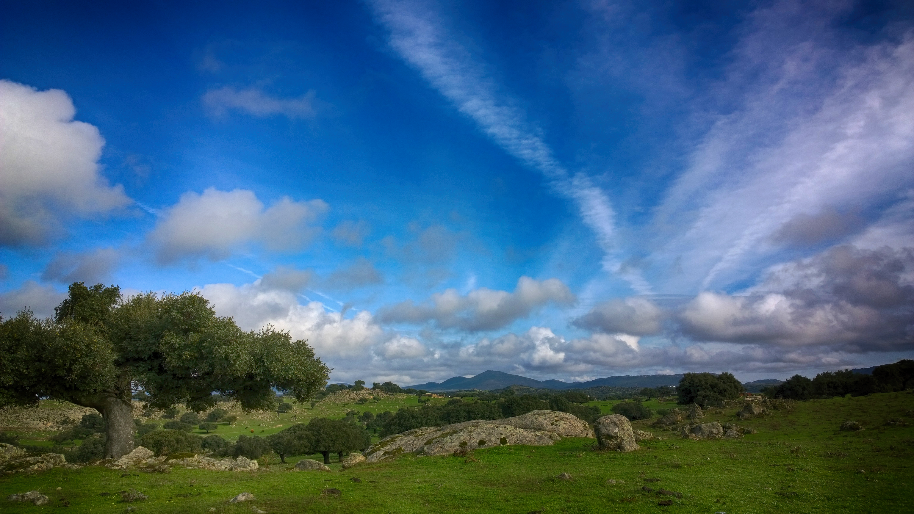 Bujíos de Ceclavín