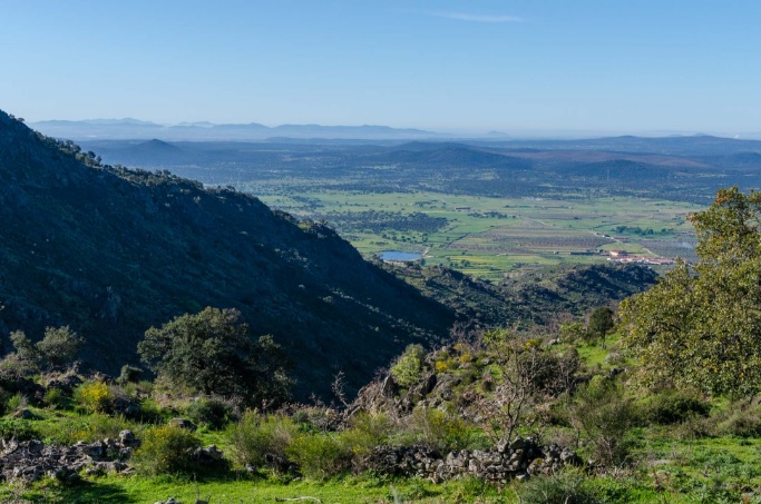 Montánchez Castaños