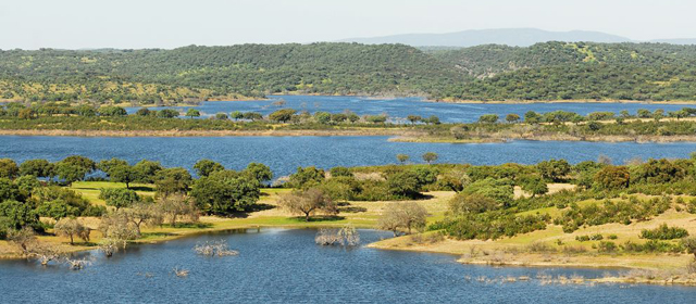 Lago Alqueva Starlight