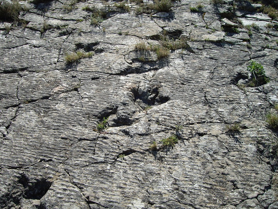 Reserva de la Biosfera de la Rioja