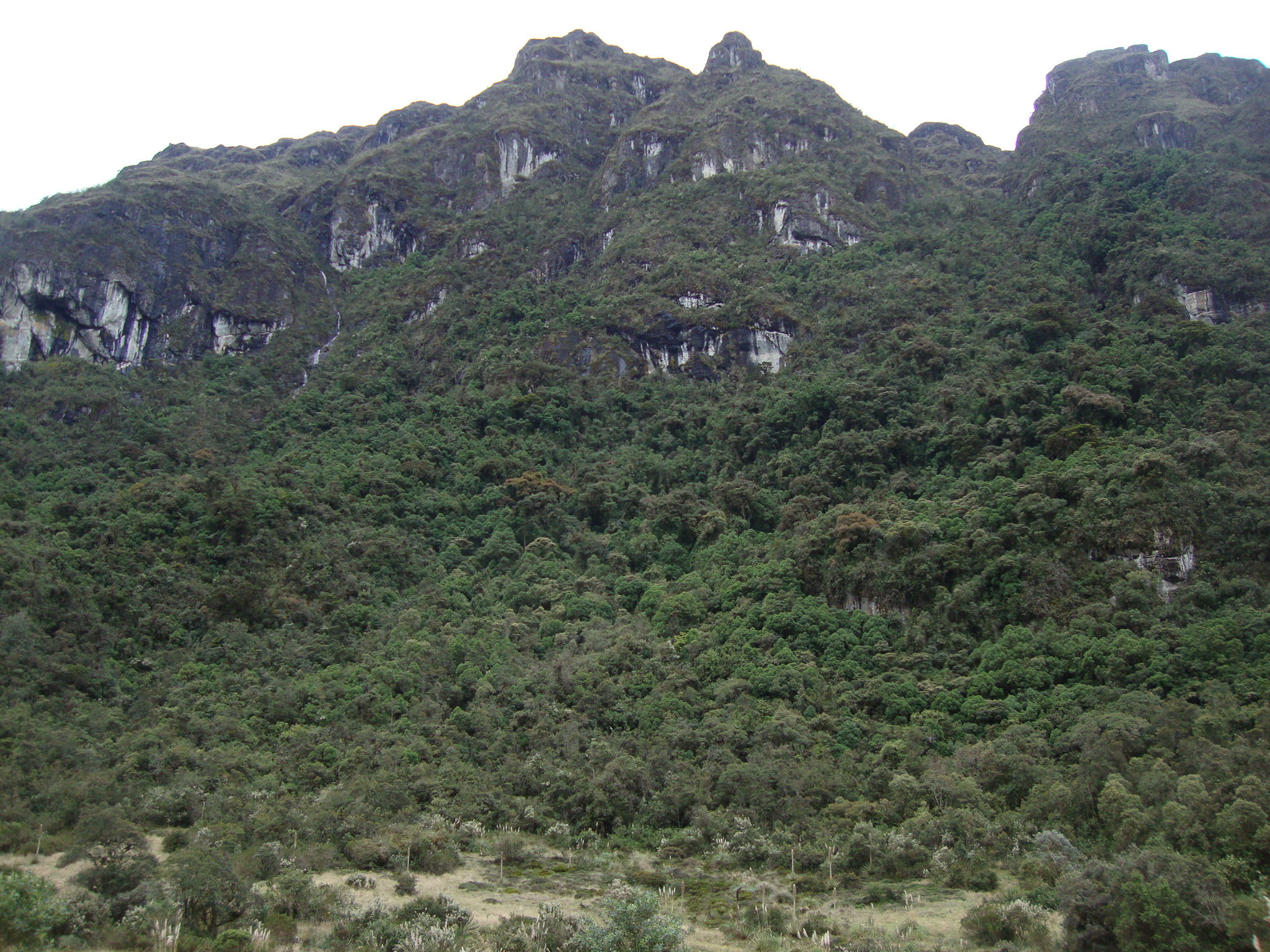 Parque Nacional Cajas Ecuador