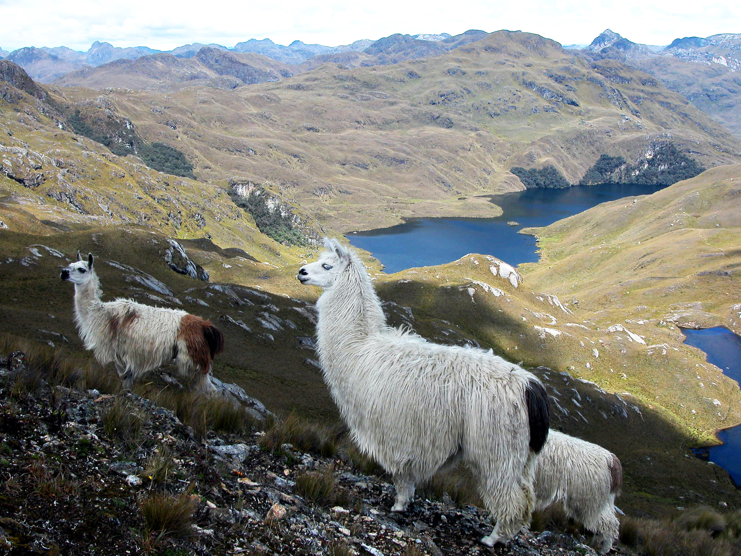 Parque Nacional Cajas Ecuador