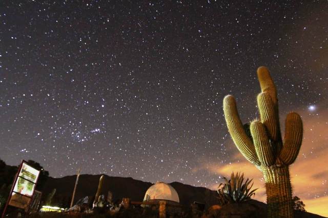 Ampimpa en Tucumán