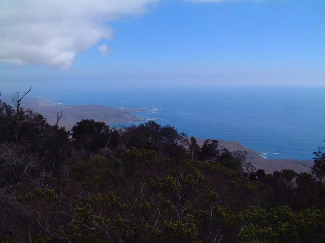 Parque nacional Bosques de Fray Jorge en Chile