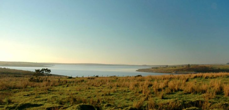 Bodmin Moor,Cornwall