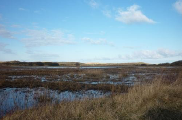 De Boschplaat Holanda