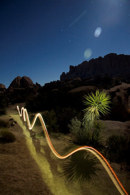 Parque Nacional Árboles de Josué