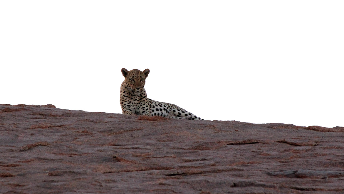 Reserva Namibran en Namibia