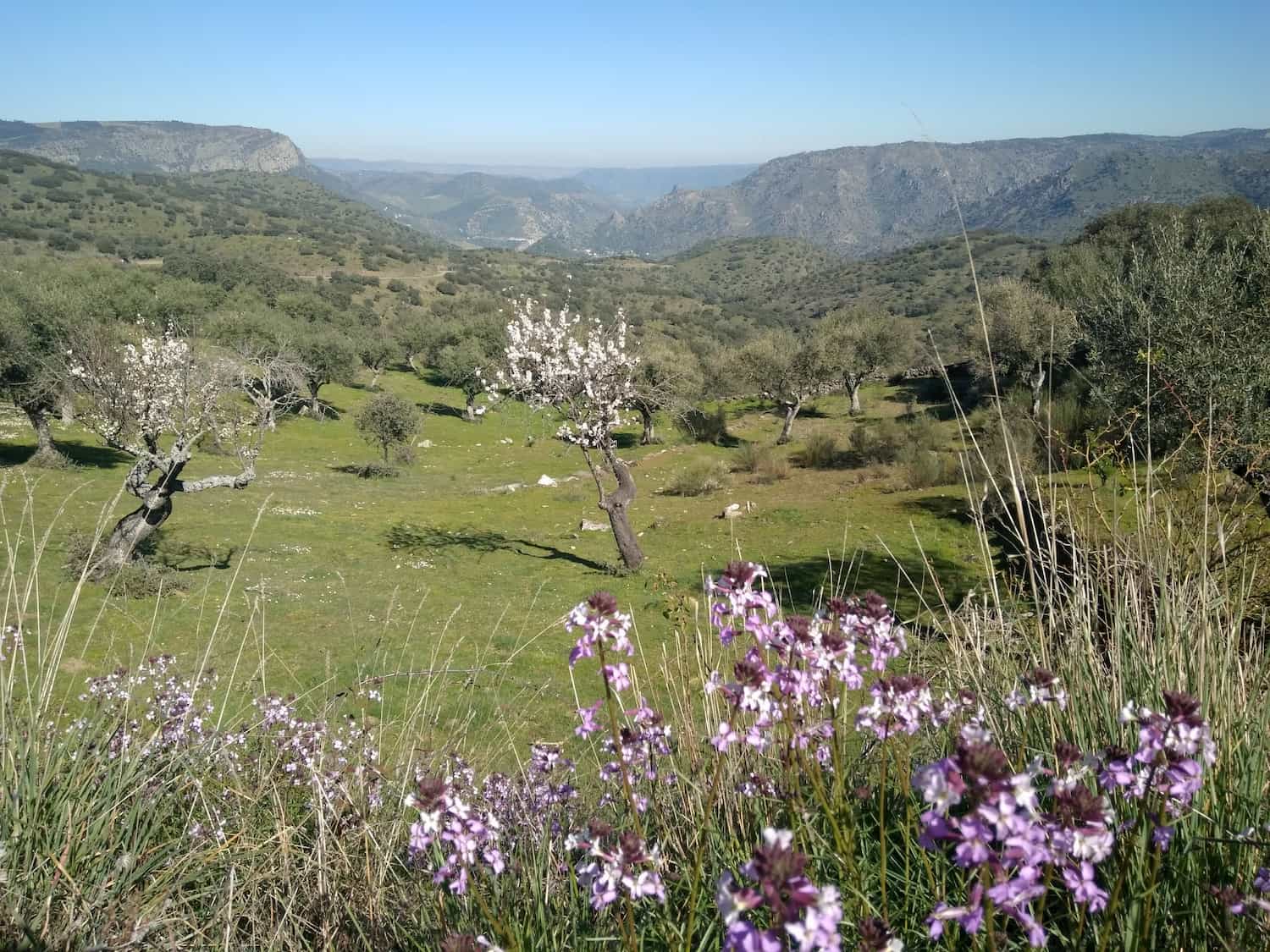 Duero Internacional