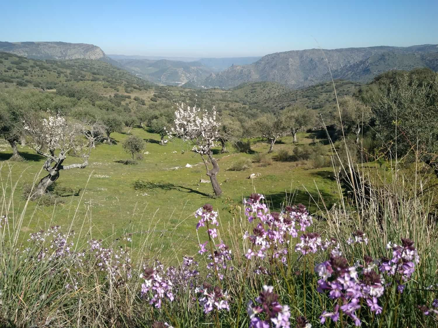 Duero Internacional