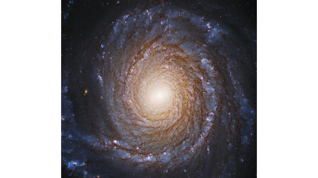 Galaxia espiral NGC 3147
