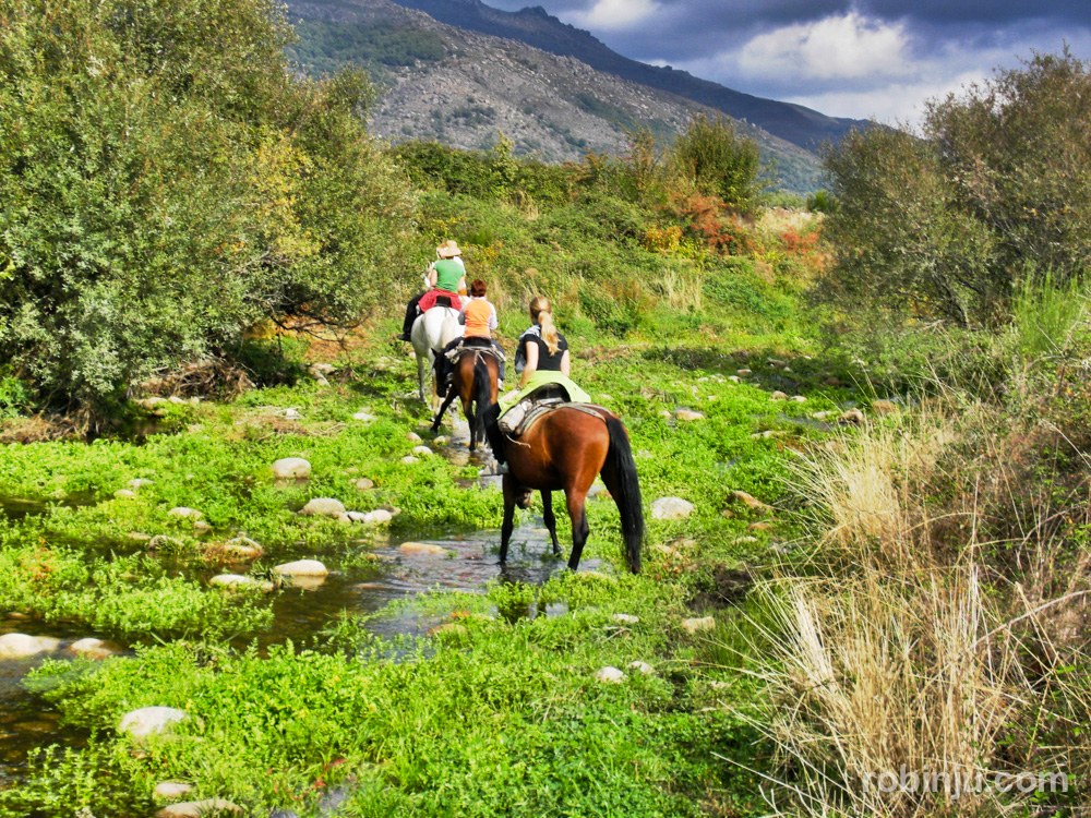 nuevo turismo tras el confinamiento