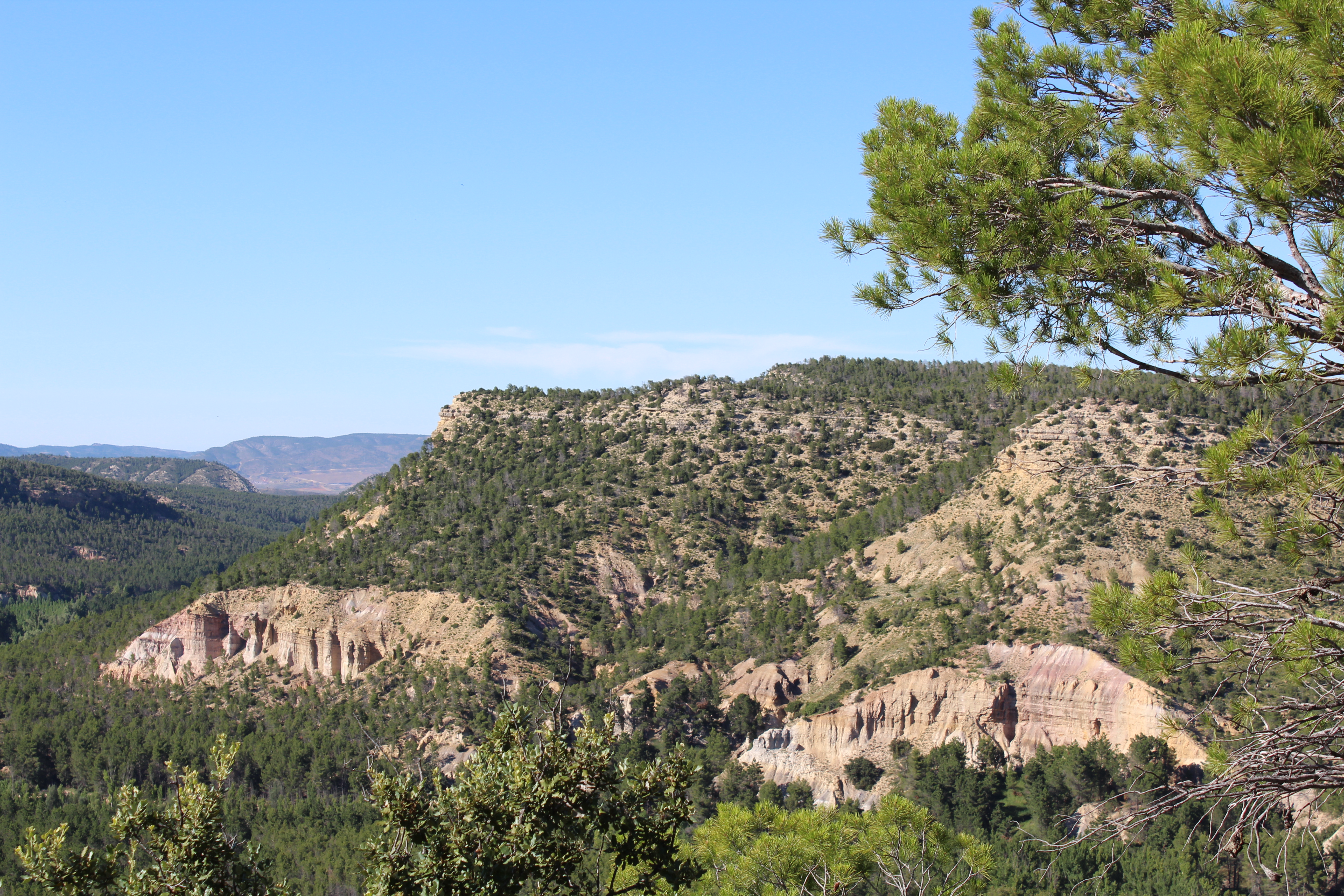 Monasterio el Olivar