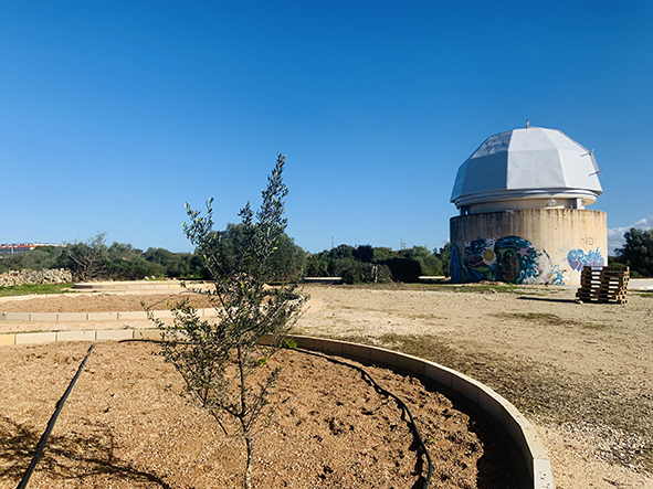 observatorio Ciudadela