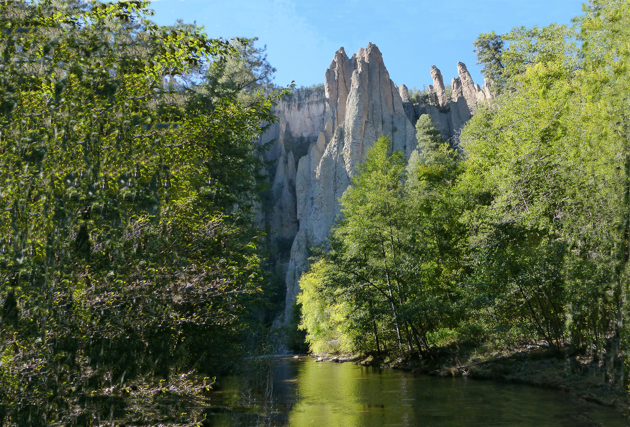 Bosque Nacional Gila 