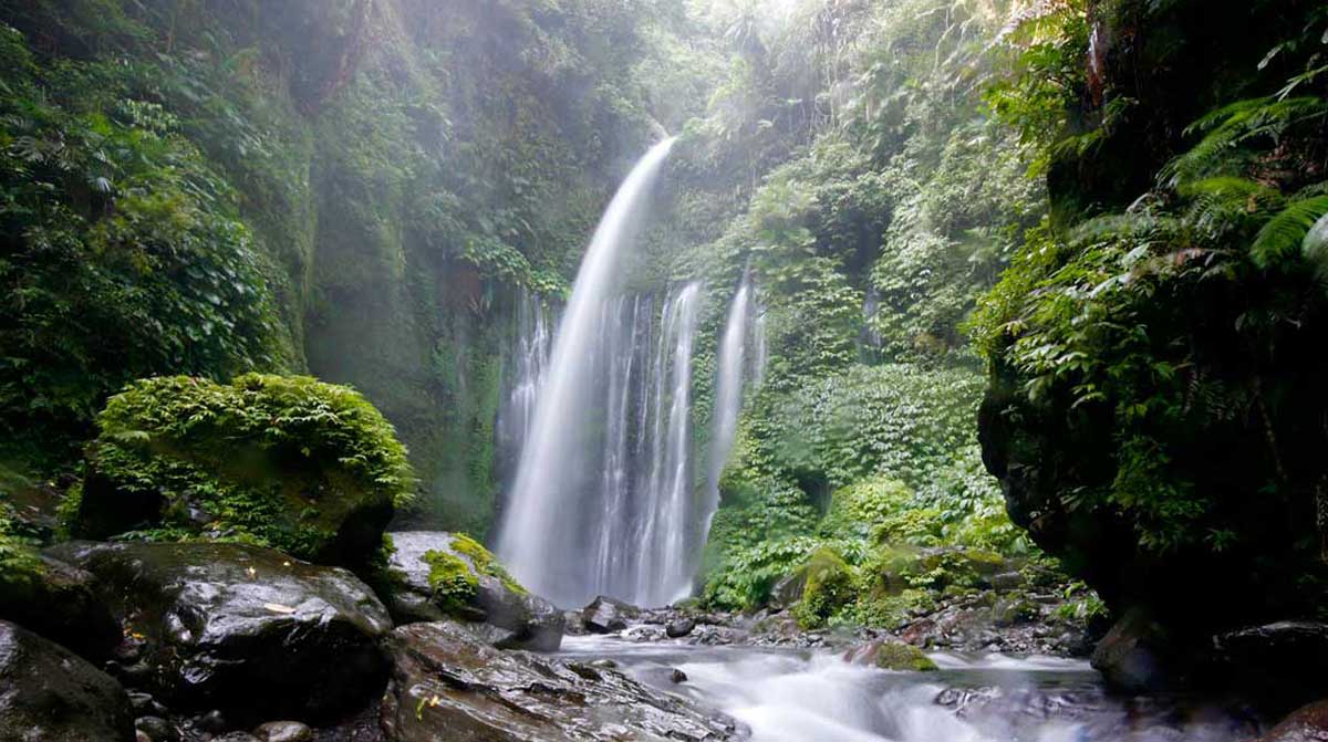 Monte Rijani Indonesia