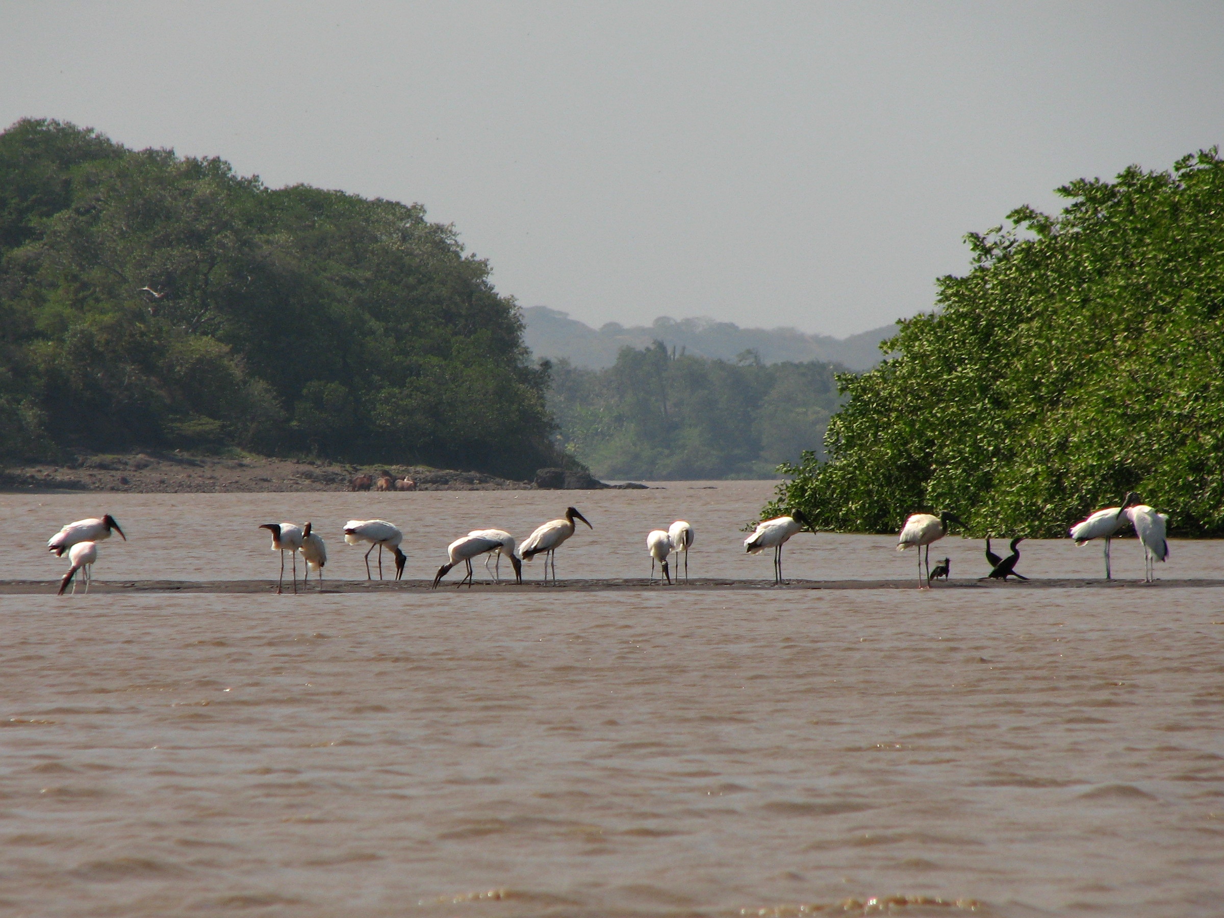 Guanascate Costa Rica