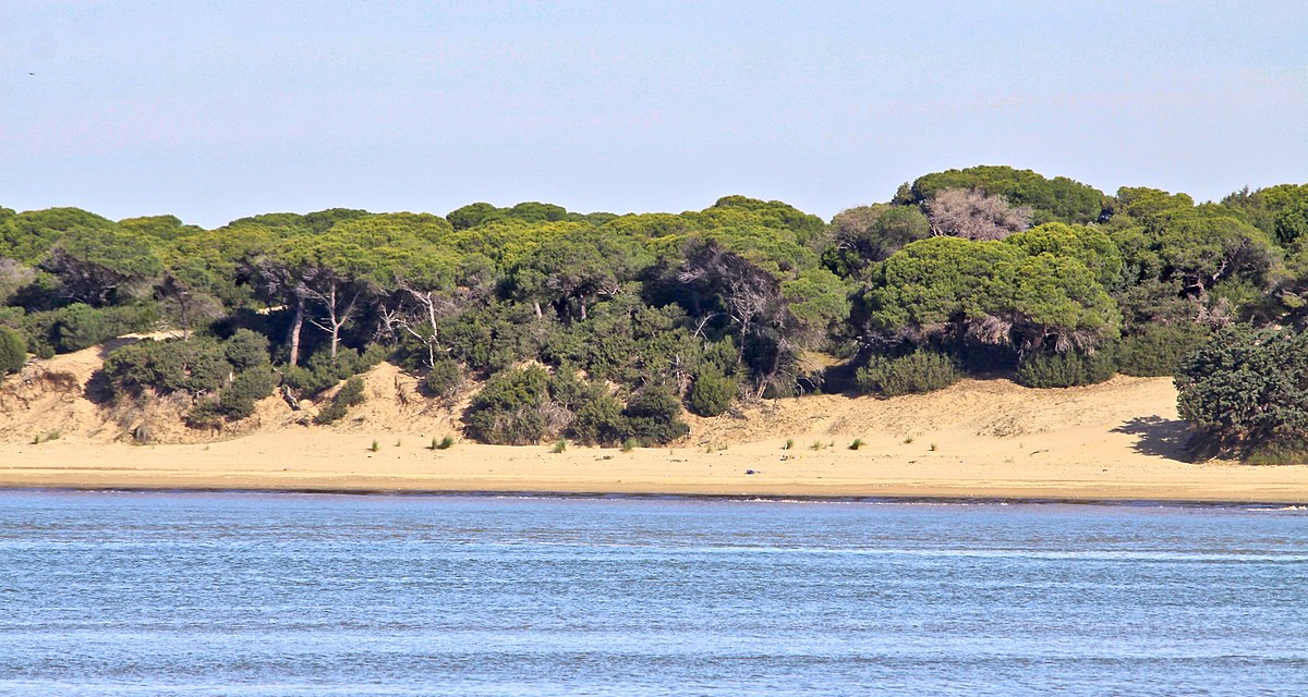 doñana