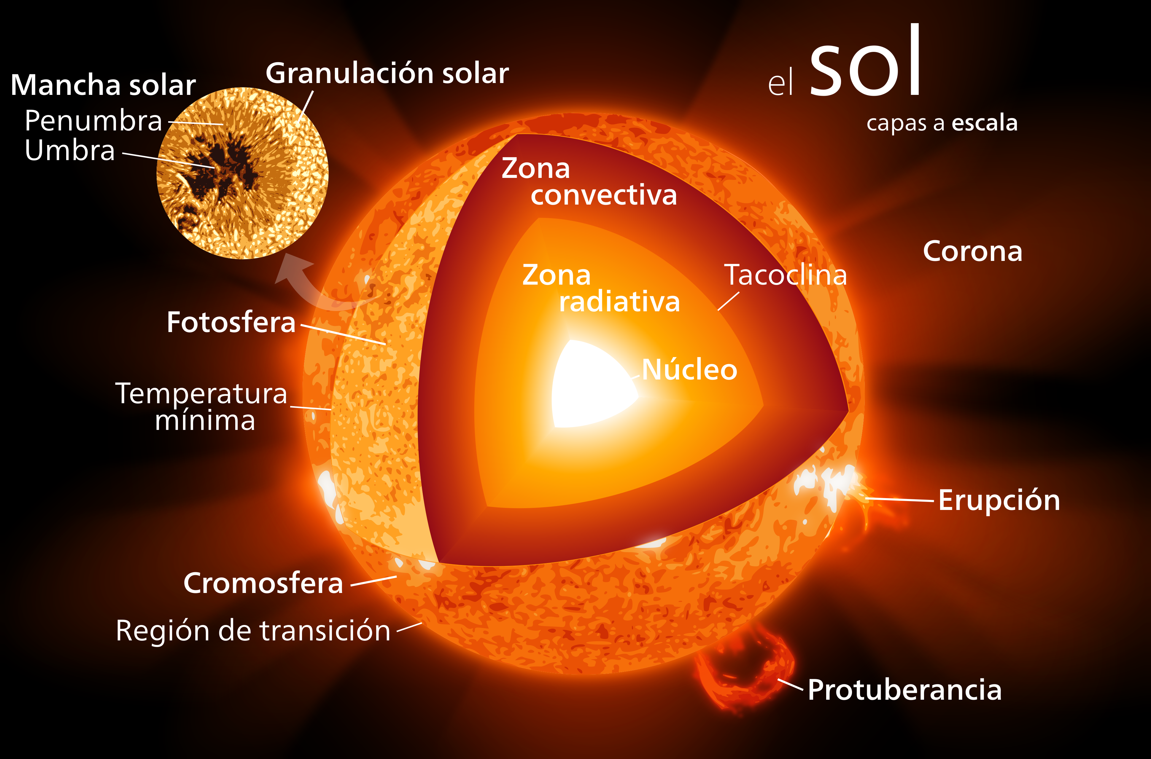 Partes del Sol