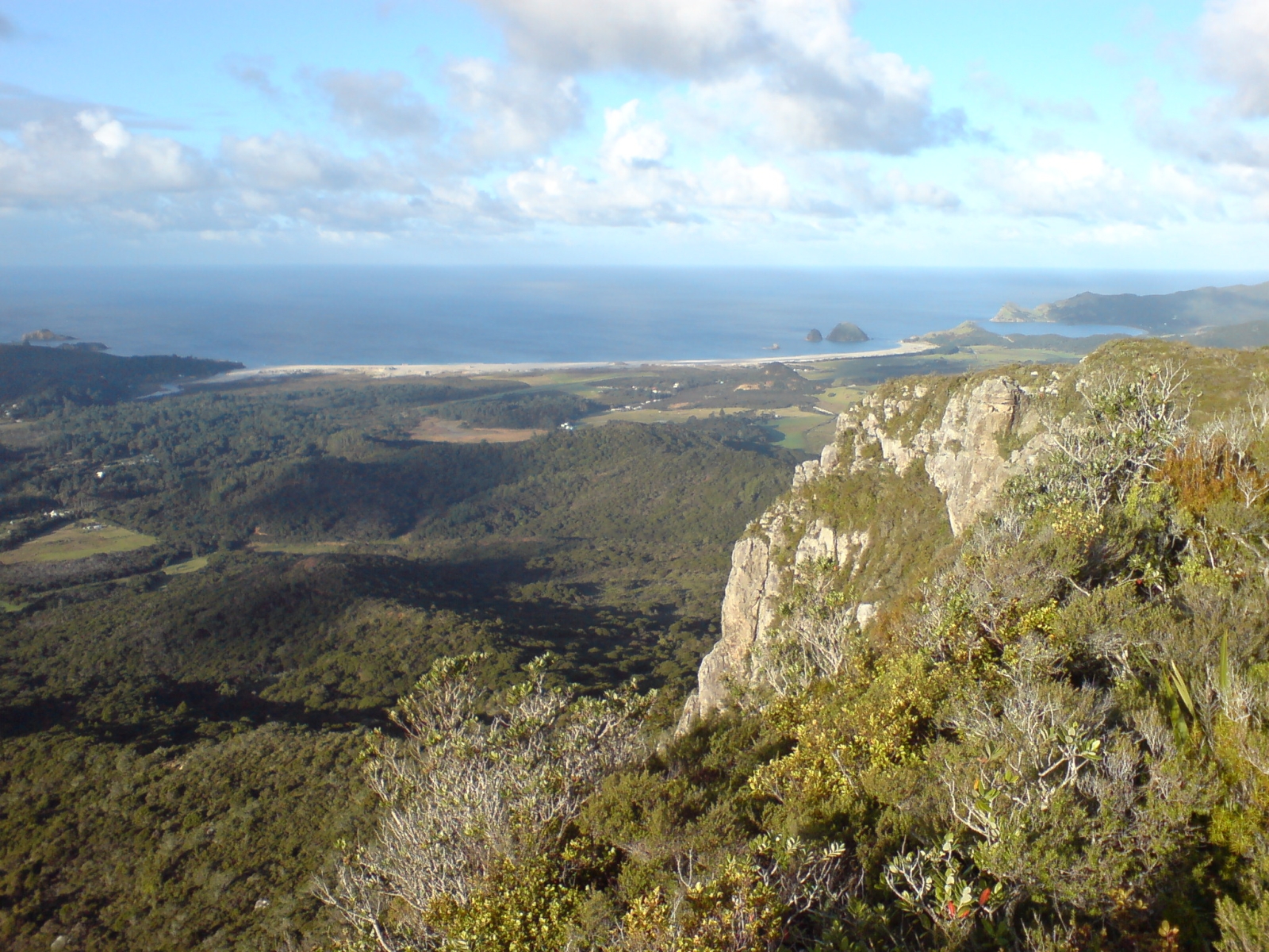 isla Gran Barrera Nueva Zelanda