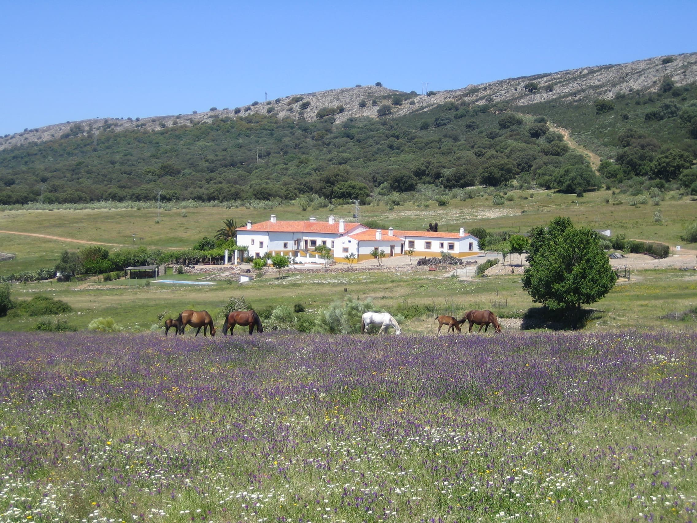 Palacio Viejo de las Corchuelas