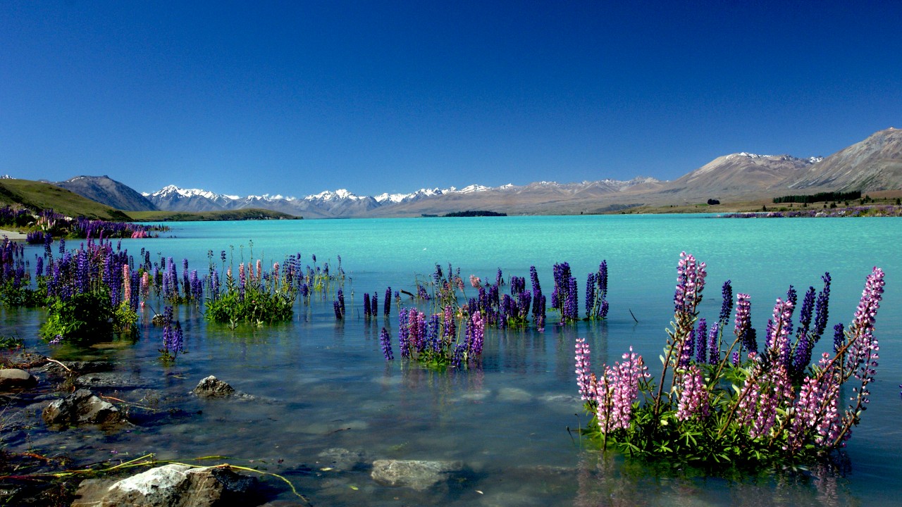 lago tekapo nueva zelanda