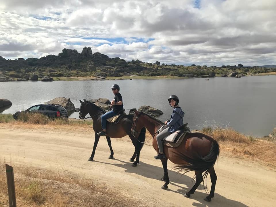 festival estelar malpartida caballo