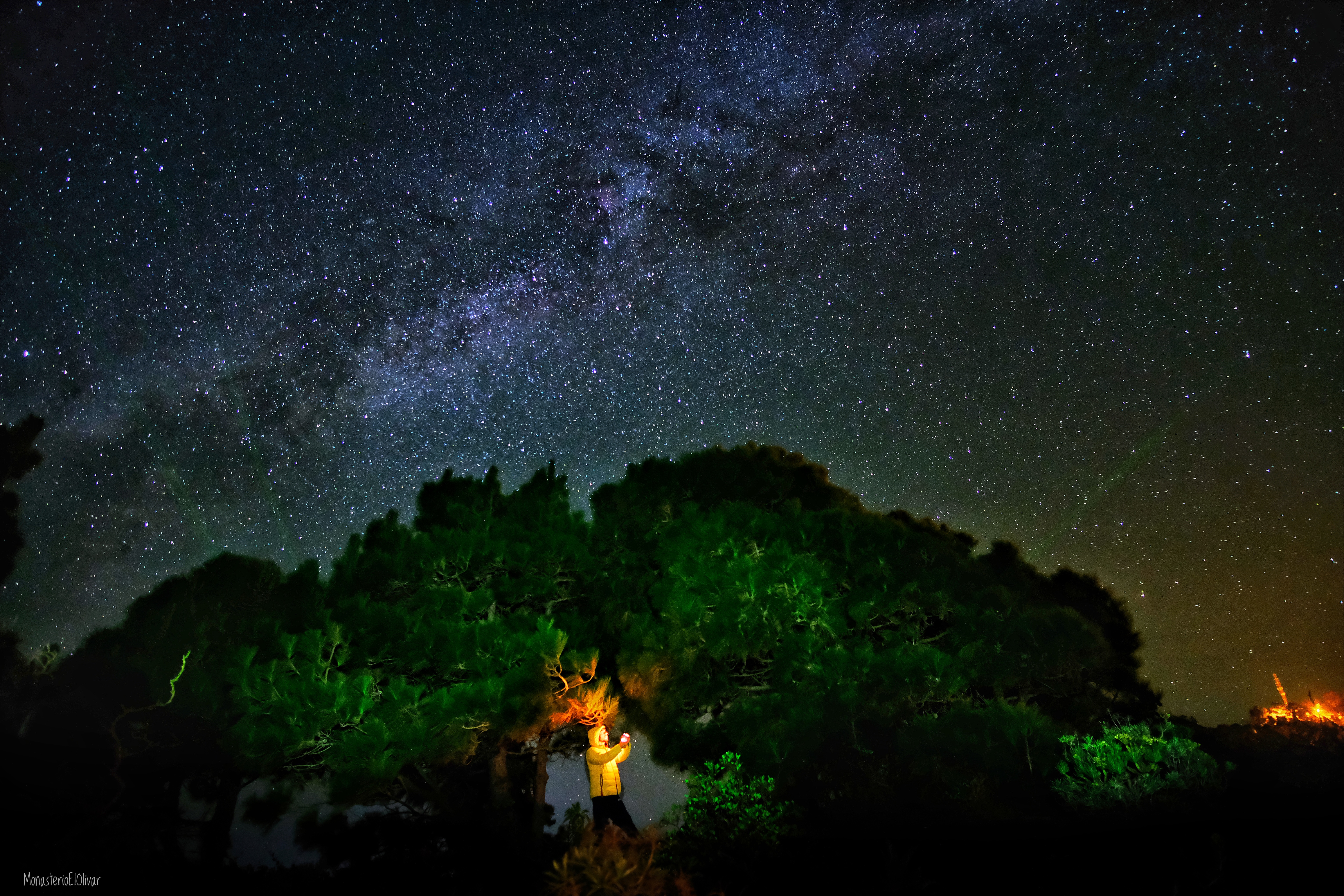 Encuentro Starlight La Palma 2