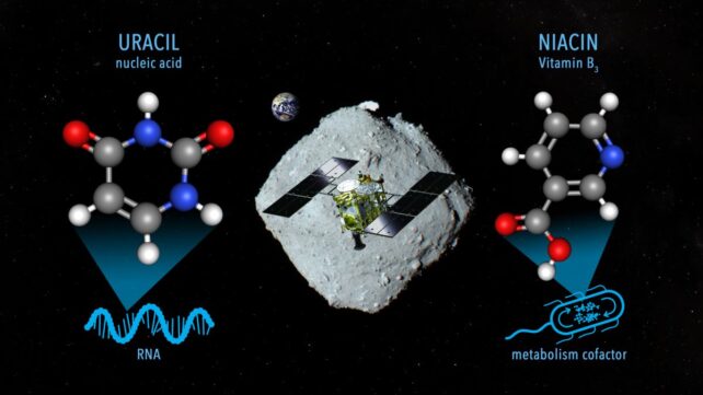 Uracilo en asteroide Ryugu