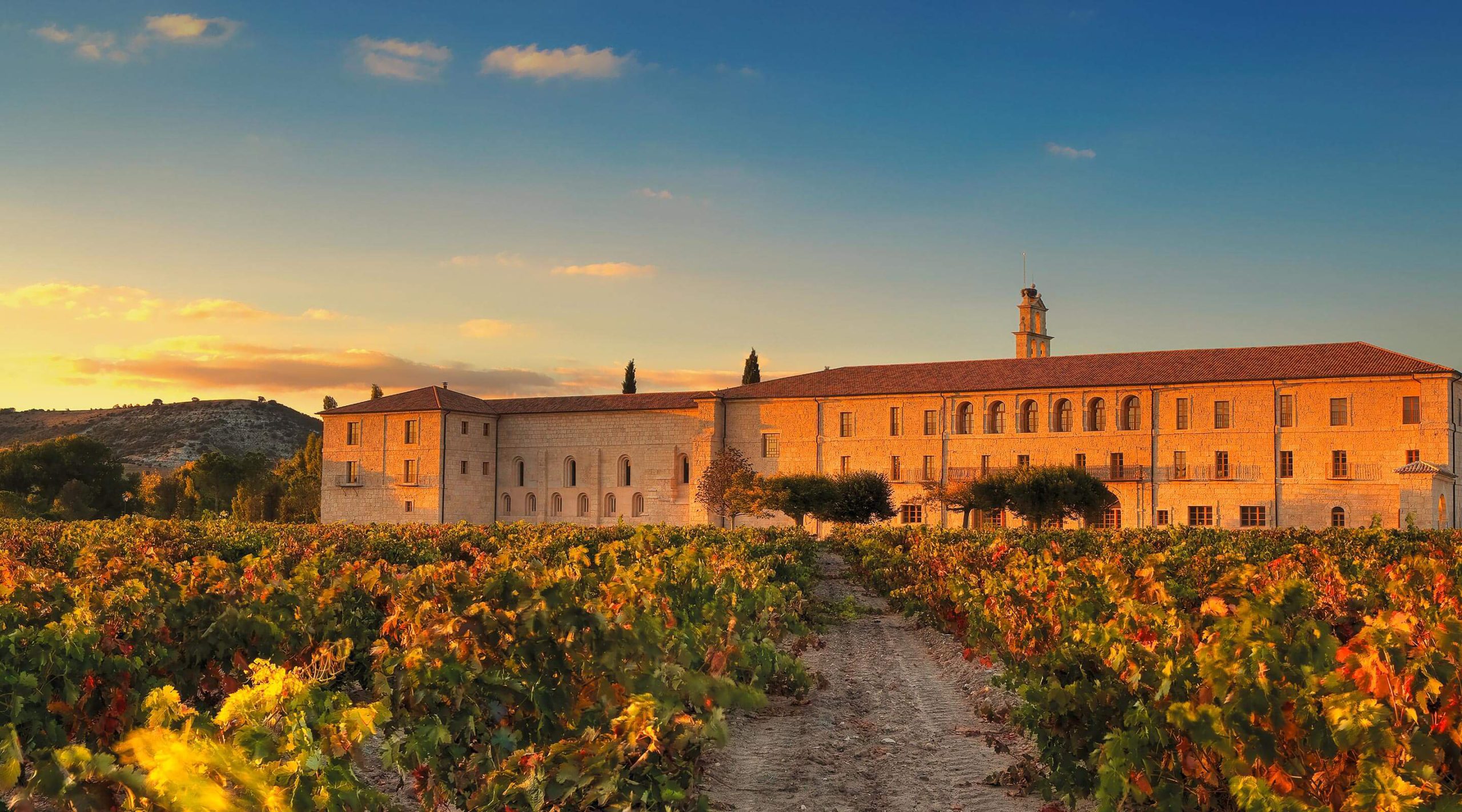 Abadia Retuerta Le Domaine