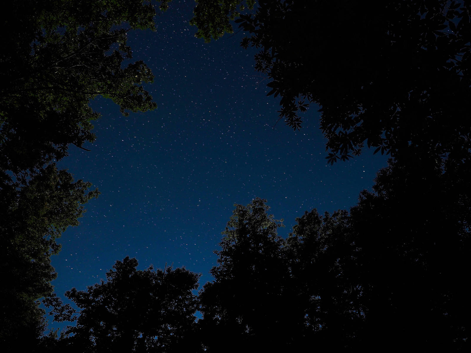 cielo nocturno